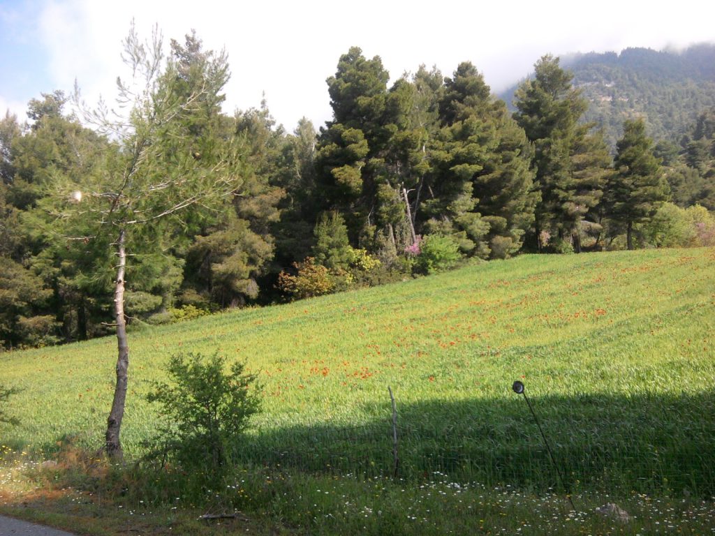 e67d36_15316d21e33f4cb285cd07ba0d22f8bd~mv2