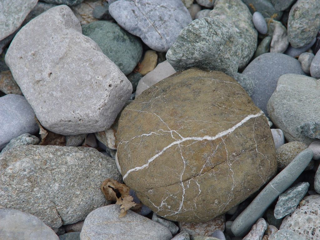 e67d36_2aa4be315ed24e1bbb8f2218215197f5~mv2