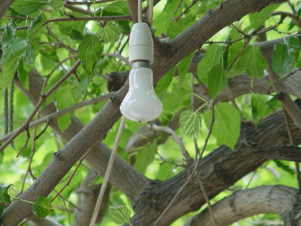 e67d36_31c63784116045dba8a08fc3ad32a6e6~mv2