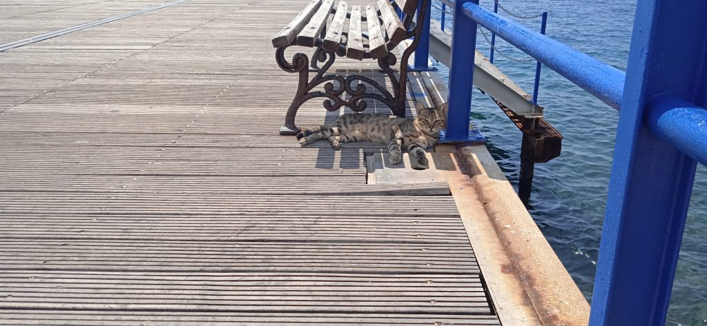 e67d36_371eaae2b731475c917dee89a28bc017~mv2