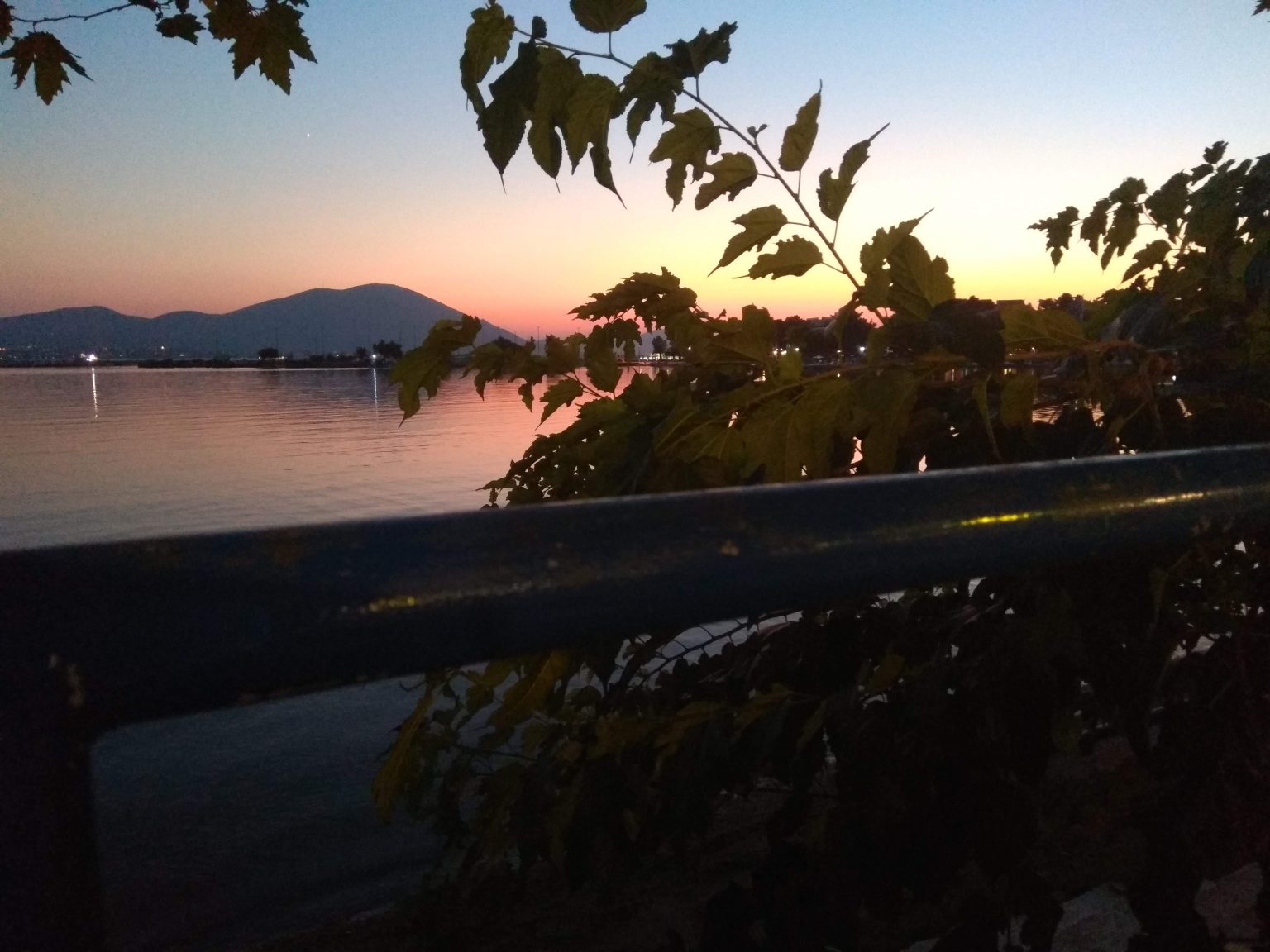 e67d36_65862683904a48299a360a12c42feff3~mv2