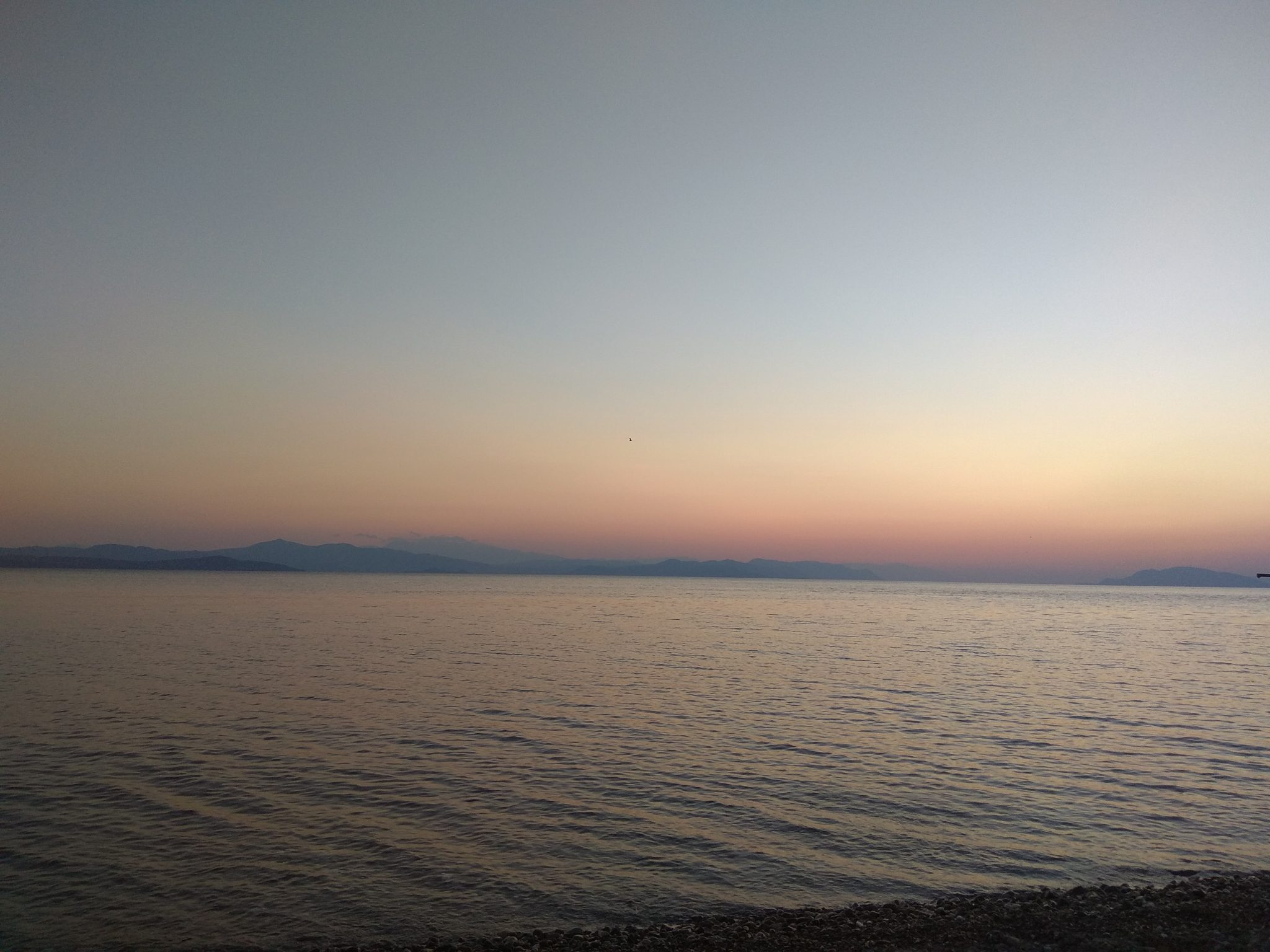 e67d36_65e8a85de313449cbf7fc05e5193b0f5~mv2