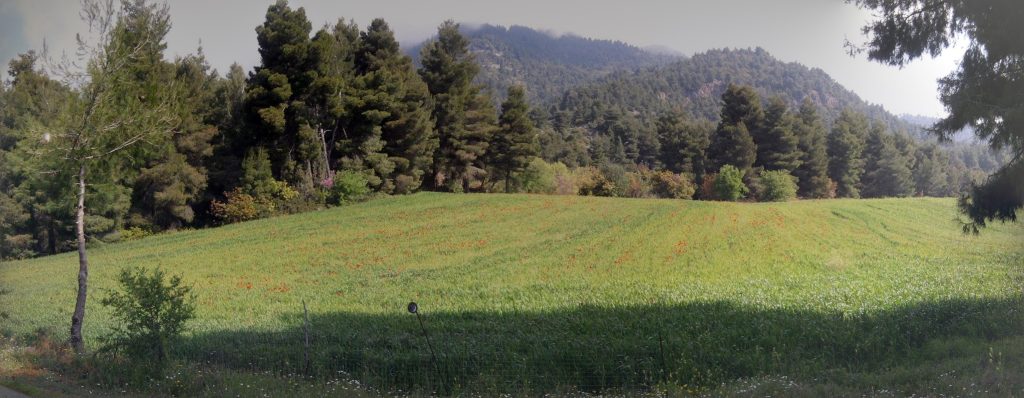 e67d36_766cd3fd51ad450aa90573b9035d45ff~mv2