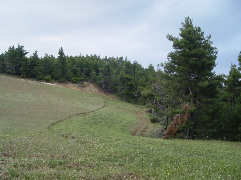 e67d36_95809bc7ff134bc6accb09246149e114~mv2