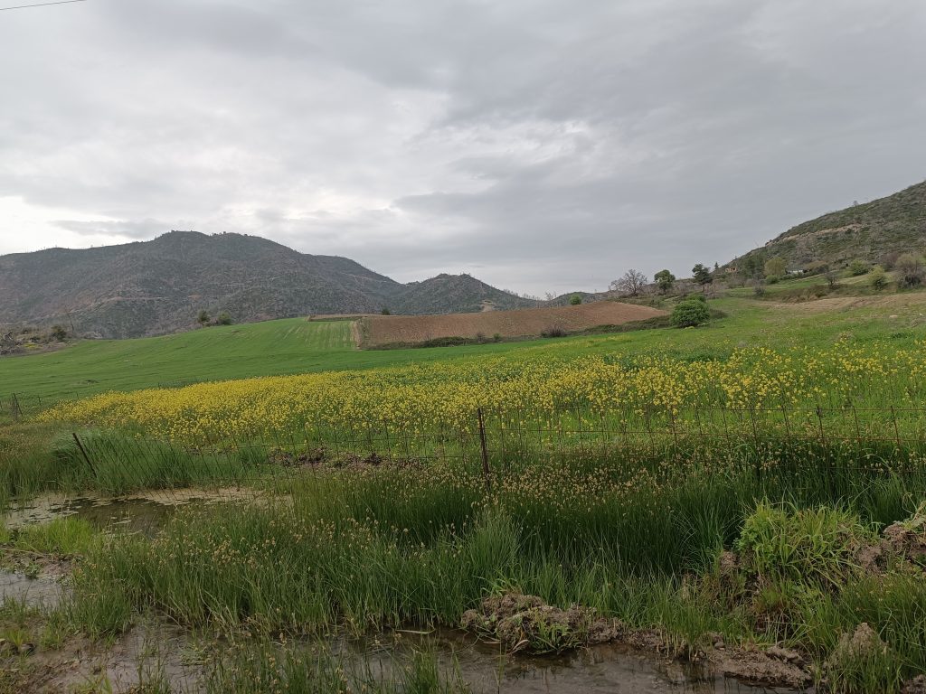 e67d36_96bda39008a547919387563b81794f39~mv2