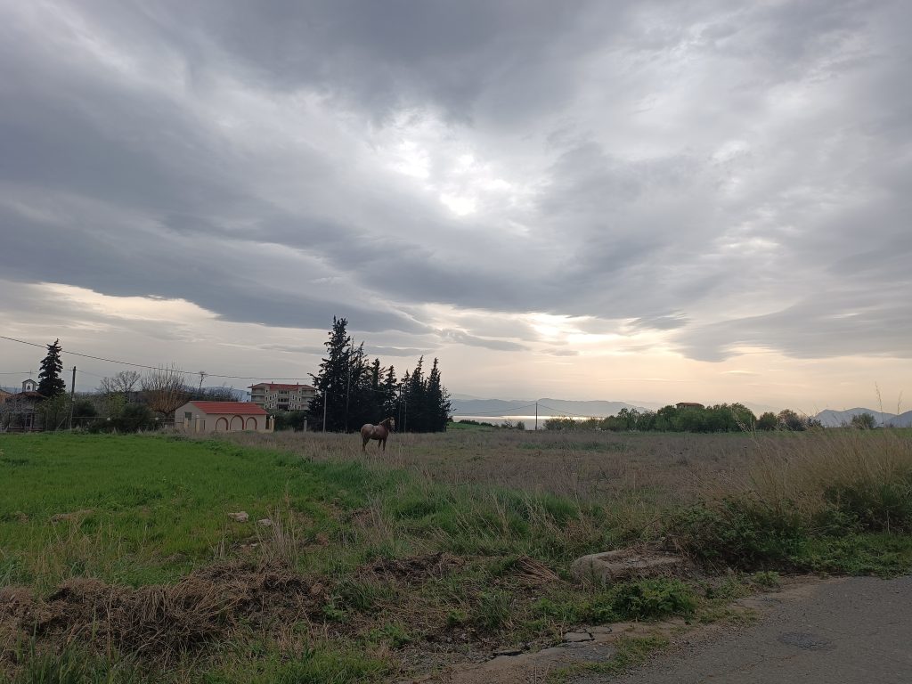 e67d36_9cc4ea1405ef481baae67954ae579a34~mv2