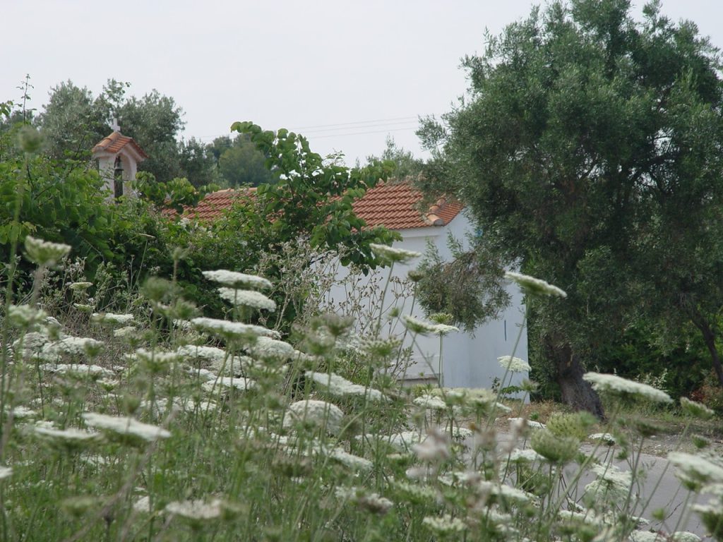 e67d36_9f2e43d192db411fb68a27707740a0cd~mv2 (1)