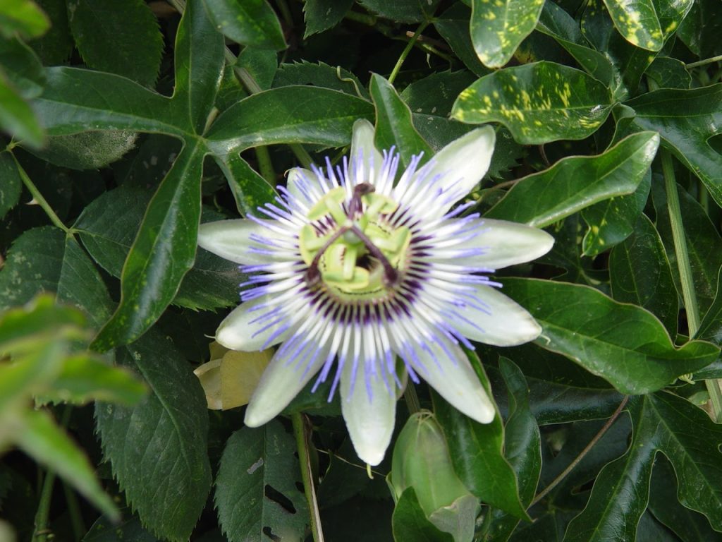 e67d36_a0d86704f5da4df5a3cd2ea70756fcab~mv2