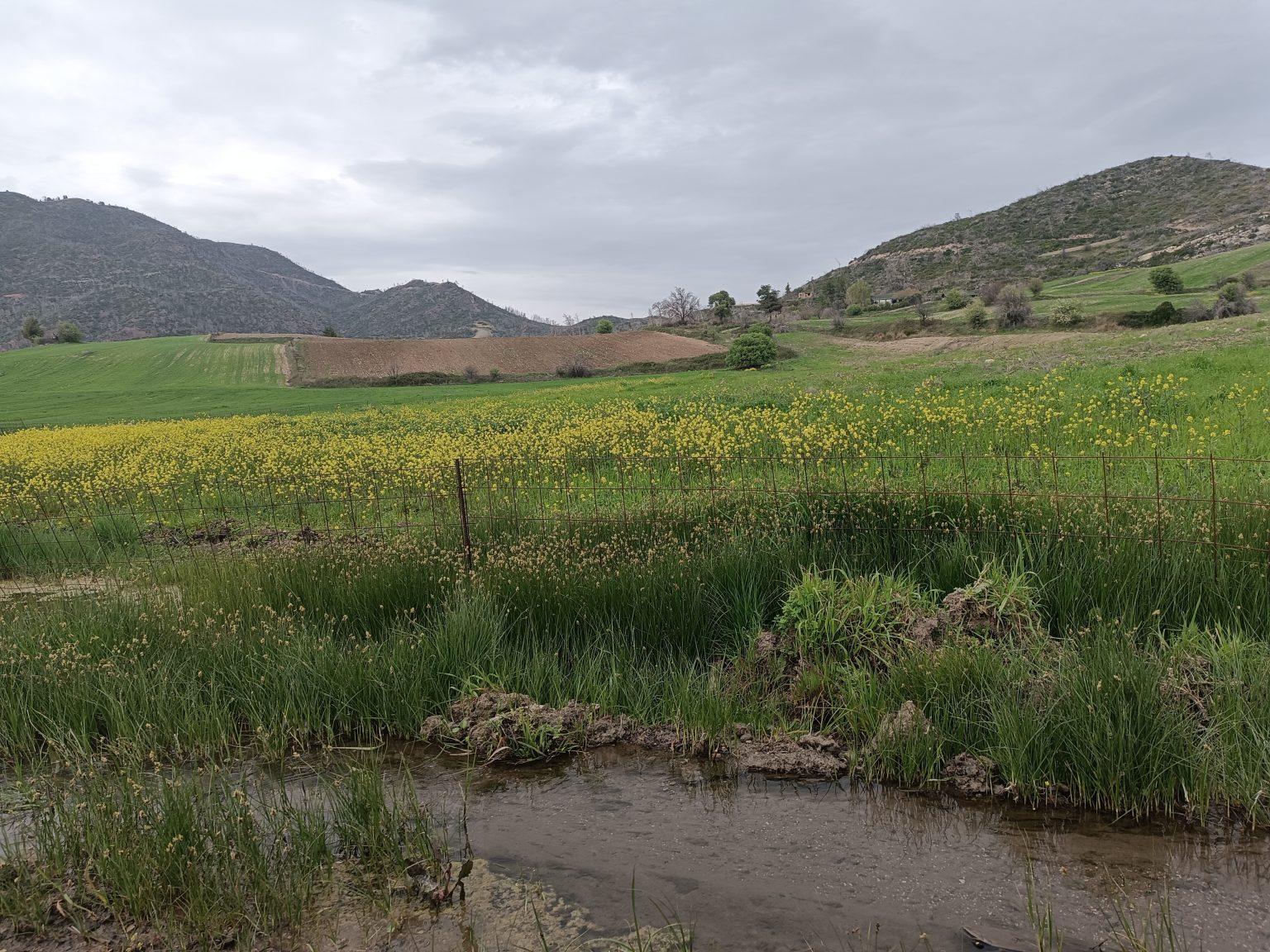 e67d36_a3d9f47d8c3b47348c4be2f794fd090d~mv2