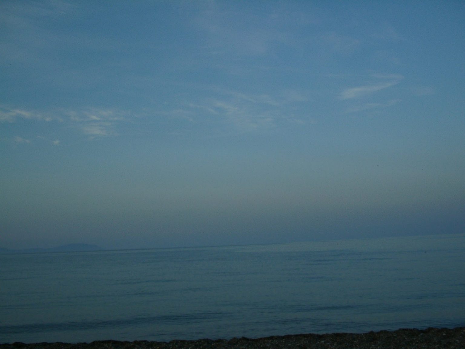 e67d36_aab8d86695a84a8db50f2a536299d281~mv2