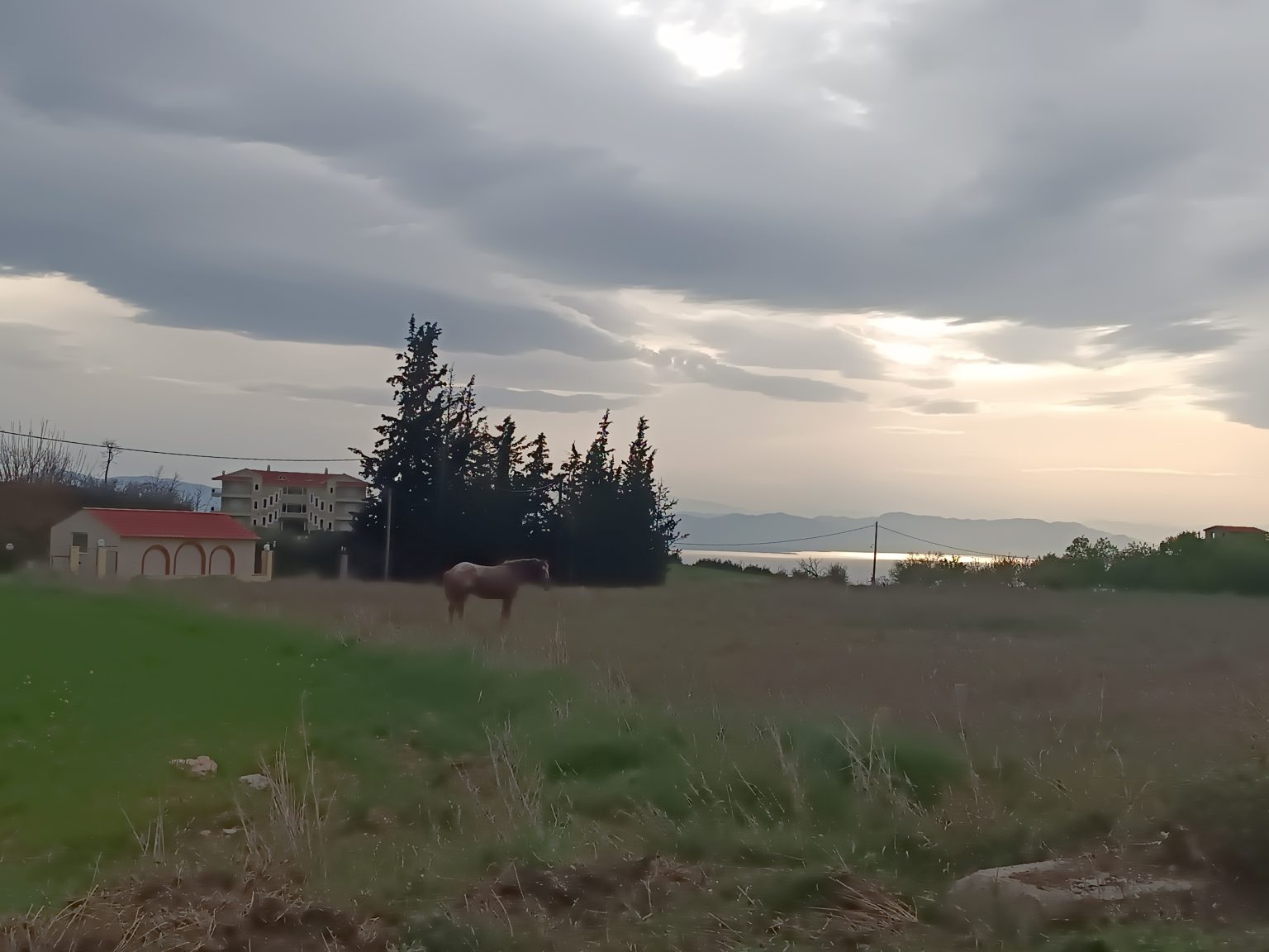 e67d36_cac46a0fa5d14981828a5d01a1c0cb13~mv2