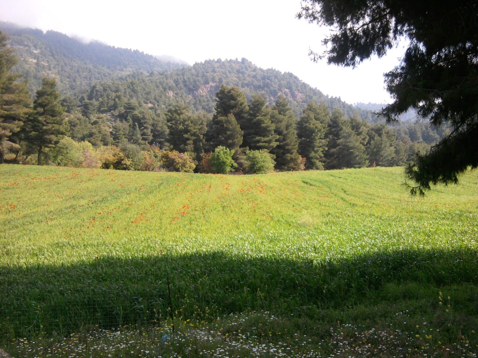 e67d36_cf4e57608d484f2da6eae1c069c3f7df~mv2