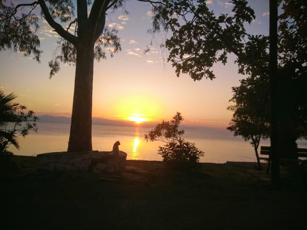 e67d36_fc7d86a444b0436e9c5a8befac5595ad~mv2 (1)